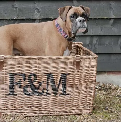 Hamper